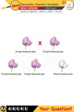 Öğretmenler için tasarlandı, sayısal ve sözlü dersleri etkili bir şekilde birleştirdi. Bu şablonlar yeni nesil problemleri ve standartlaştırılmış sınav planlarını içerir. 2026 yılına göre tasarlanmış, siyah katmanları da kapsayan, etkin öğrenmeyi teşvik ediyorlar..