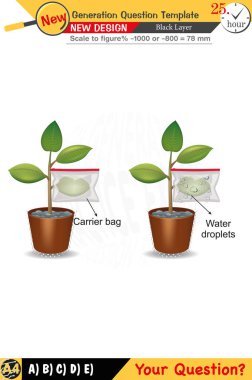 Öğretmenler için tasarlandı, sayısal ve sözlü dersleri etkili bir şekilde birleştirdi. Bu şablonlar yeni nesil problemleri ve standartlaştırılmış sınav planlarını içerir. 2026 yılına göre tasarlanmış, siyah katmanları da kapsayan, etkin öğrenmeyi teşvik ediyorlar..