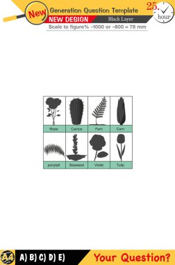 Öğretmenler için tasarlandı, sayısal ve sözlü dersleri etkili bir şekilde birleştirdi. Bu şablonlar yeni nesil problemleri ve standartlaştırılmış sınav planlarını içerir. 2026 yılına göre tasarlanmış, siyah katmanları da kapsayan, etkin öğrenmeyi teşvik ediyorlar..