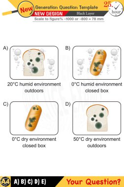 Öğretmenler için tasarlandı, sayısal ve sözlü dersleri etkili bir şekilde birleştirdi. Bu şablonlar yeni nesil problemleri ve standartlaştırılmış sınav planlarını içerir. 2026 yılına göre tasarlanmış, siyah katmanları da kapsayan, etkin öğrenmeyi teşvik ediyorlar..