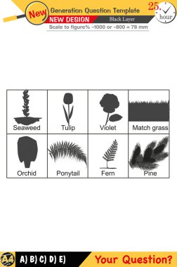 Öğretmenler için tasarlandı, sayısal ve sözlü dersleri etkili bir şekilde birleştirdi. Bu şablonlar yeni nesil problemleri ve standartlaştırılmış sınav planlarını içerir. 2026 yılına göre tasarlanmış, siyah katmanları da kapsayan, etkin öğrenmeyi teşvik ediyorlar..