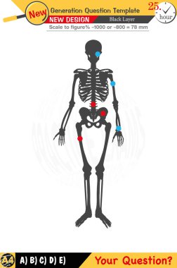 Öğretmenler için tasarlandı, sayısal ve sözlü dersleri etkili bir şekilde birleştirdi. Bu şablonlar yeni nesil problemleri ve standartlaştırılmış sınav planlarını içerir. 2026 yılına göre tasarlanmış, siyah katmanları da kapsayan, etkin öğrenmeyi teşvik ediyorlar..