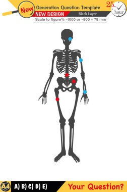 Öğretmenler için tasarlandı, sayısal ve sözlü dersleri etkili bir şekilde birleştirdi. Bu şablonlar yeni nesil problemleri ve standartlaştırılmış sınav planlarını içerir. 2026 yılına göre tasarlanmış, siyah katmanları da kapsayan, etkin öğrenmeyi teşvik ediyorlar..
