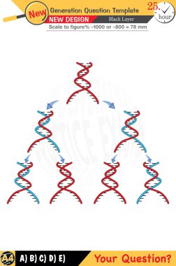 Fizik ve fiziksel kavramlara odaklanan öğretmenler için tasarlandı. Sayısal ve sözlü dersleri etkili bir şekilde entegre ederler. Bir sonraki nesil problem setleri katılaşma için eklenmiştir. Siyah katmanlar içeren tasarımlar