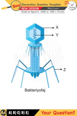 Öğretmenler için tasarlandı, sayısal ve sözlü dersleri etkili bir şekilde birleştirdi. Bu şablonlar yeni nesil problemleri ve standartlaştırılmış sınav planlarını içerir. 2026 yılına göre tasarlanmış, siyah katmanları da kapsayan, etkin öğrenmeyi teşvik ediyorlar..