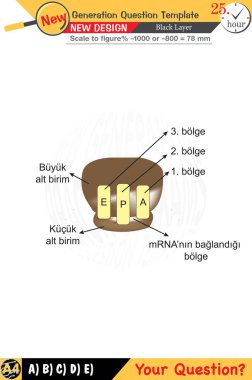 Öğretmenler için tasarlandı, sayısal ve sözlü dersleri etkili bir şekilde birleştirdi. Bu şablonlar yeni nesil problemleri ve standartlaştırılmış sınav planlarını içerir. 2026 yılına göre tasarlanmış, siyah katmanları da kapsayan, etkin öğrenmeyi teşvik ediyorlar..