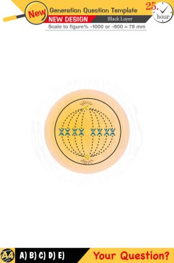 Biyoloji için düzenlenebilir tasarımlar anahtar kavramları vurgular ve sayısal ve sözlü dersleri entegre eder. Bu şablonlar gelecek nesil sorunları da dahil olmak üzere lise ve ortaokul sınavları için tasarlanmıştır. 2026 sınavı için mükemmel