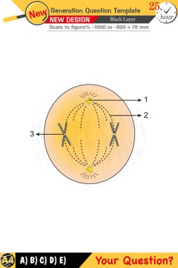 Biyoloji için düzenlenebilir tasarımlar anahtar kavramları vurgular ve sayısal ve sözlü dersleri entegre eder. Bu şablonlar gelecek nesil sorunları da dahil olmak üzere lise ve ortaokul sınavları için tasarlanmıştır. 2026 sınavı için mükemmel
