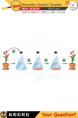 Biyoloji için düzenlenebilir tasarımlar anahtar kavramları vurgular ve sayısal ve sözlü dersleri entegre eder. Bu şablonlar gelecek nesil sorunları da dahil olmak üzere lise ve ortaokul sınavları için tasarlanmıştır. 2026 sınavı için mükemmel