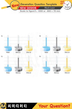 Fizik ve fiziksel kavramlara odaklanan öğretmenler için tasarlandı. Sayısal ve sözlü dersleri etkili bir şekilde entegre ederler. Yeni nesil problem setleri ilave katılaşma için dahil edilir. Siyah katman tasarım netliği arttırır