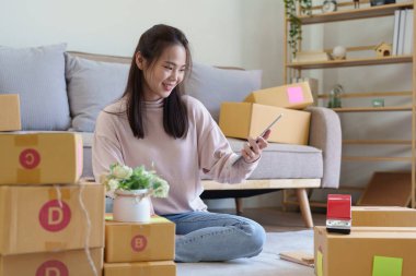 Küçük işletmeler kurmanın portresi, Asyalı kadın internetten siparişleri kontrol ediyor. Ev işlerinde çalışan kutucuklarla çalışan ürünler satıyor, özel sektör kavramları...