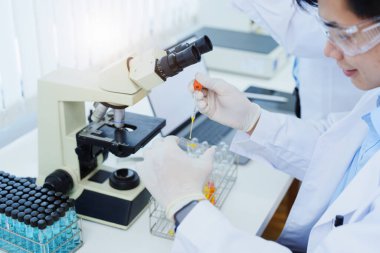 Tıbbi araştırma laboratuvarları, bilim insanları kimyasal örnekleri analiz ediyor teknolojik yenilikleri tartışıyorlar. Gelişmiş tıp ve biyoteknoloji laboratuvarları.