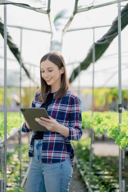 Kadın çiftçi sebze ve hidroponik çiftliğinden denetleme kalitesi topluyor. Organik taze sebzeler, hidrofonik sebzelerle çalışan çiftçiler bahçe hasadı, küçük işletme kavramları.