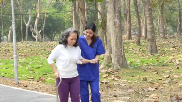 医療看護師 屋外で高齢女性との理学療法 若い看護師は足の筋肉を強化するために散歩のための高齢者の世話をします 高品質4K映像 — ストック動画