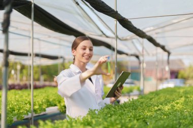 Kadın çiftçi sebze ve hidroponik çiftliğinden denetleme kalitesi topluyor. Organik taze sebzeler, hidrofonik sebzelerle çalışan çiftçiler bahçe hasadı, küçük işletme kavramları.