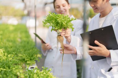 İnsanlar çiftçi sebze ve hidroponik çiftliğinden denetleme kalitesi topluyor. Organik taze sebzeler, hidrofonik sebzelerle çalışan çiftçiler bahçe hasadı, küçük işletme kavramları.