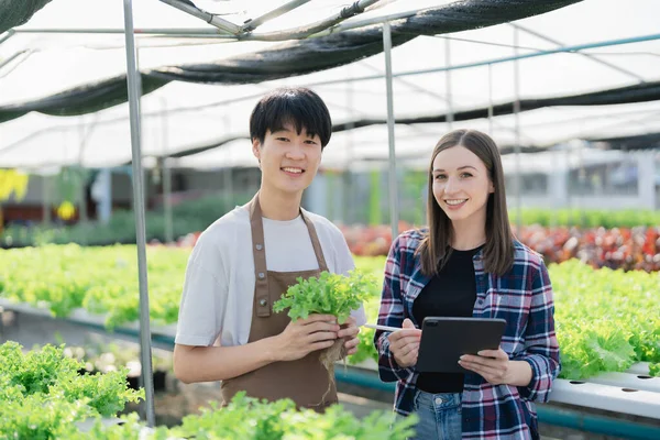 Weibliche Und Männliche Bauern Ernten Gemüse Und Prüfen Die Qualität — Stockfoto