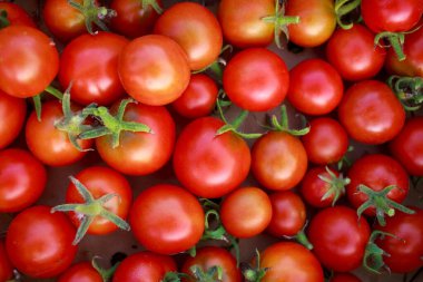 The beautiful juicy background of ripe tomatoes