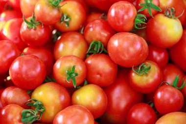 The beautiful juicy background of ripe tomatoes