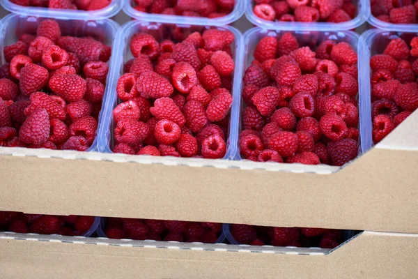 stock image Fresh juicy raspberries in booties close-up photo