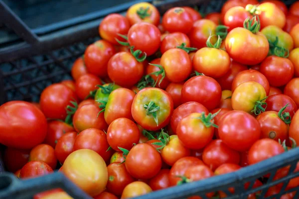 Beautiful ripe juicy tomatoes in a box
