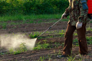 İşçi yazın tarlaya zehir püskürtür.