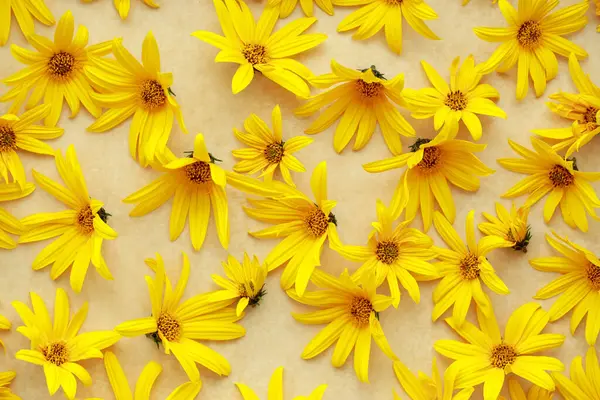 scattered yellow flowers on a beige background