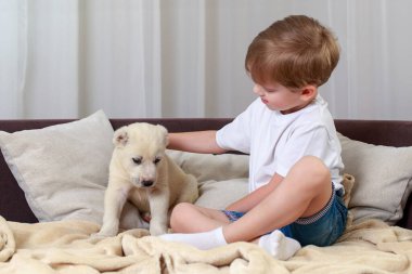 Kanepede bir çocukla Alabai köpeği