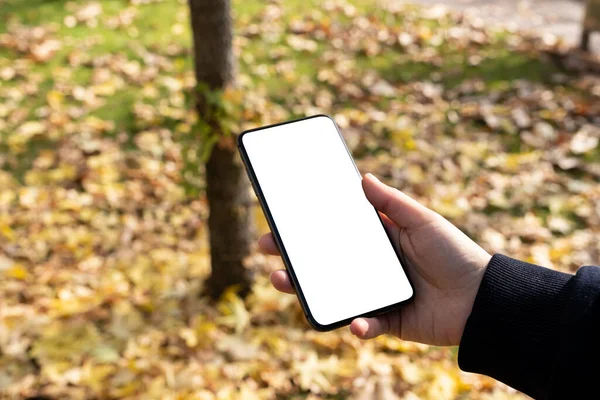 Cell phone mock up, woman hand holding cell phone mock up. Empty white blank screen. Autumn fallen yellow leafs background on green grass. Application, social media, browse web page copy space.