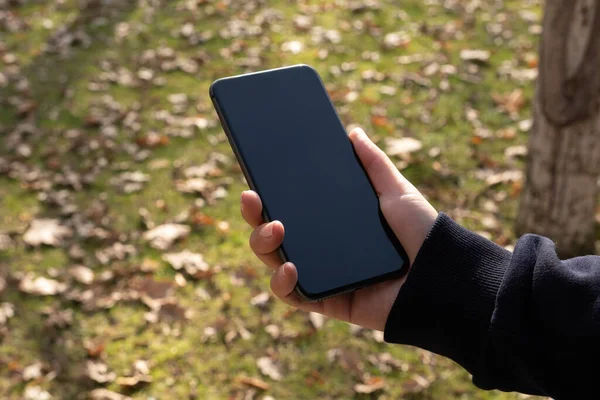 Showing smartphone, woman hand holding and showing smartphone. Empty black display, screen. Outdoor autumn, fall background. Fallen yellow leafs on the ground. Copy space, mobile phone mock up concept