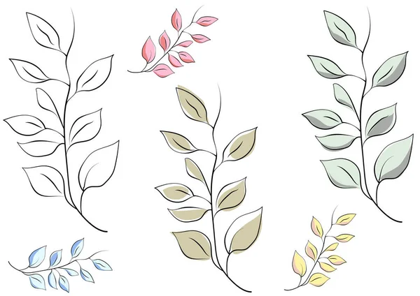 Illustration Set Fashionable Plants Leaves — Stock Vector