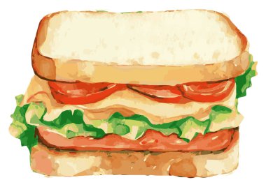 Ekmeğin arasına salamura edilmiş sebzeli bir sandviçin suluboya çizimi.