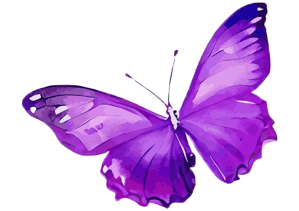 Ilustrace Fialových Motýlů Akvarel Dotek — Stockový vektor