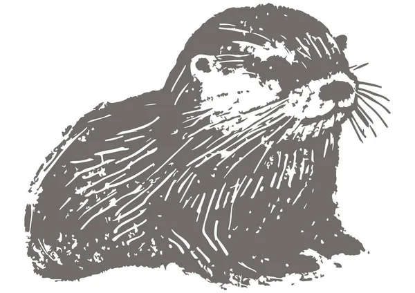 Illustrazione Stile Stampa Una Lontra — Vettoriale Stock