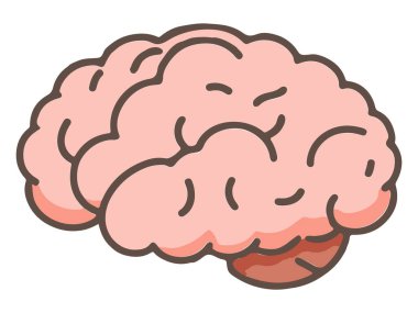 İnsan beyninin basit renk çizimi