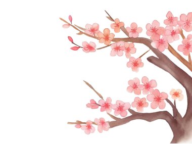 Yumuşak suluboya dokunuşlu erik ağaçları ve çiçekler.