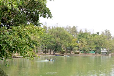 Bangkok Güzel manzara Doğal Park.