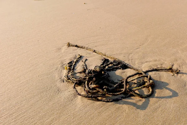 Plaj Var Çevre Koruma Çöp Atık Kavramı — Stok fotoğraf