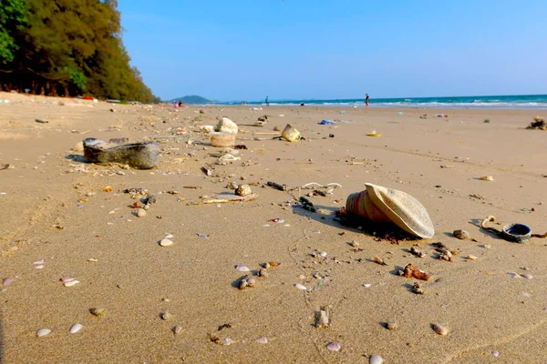 stock image The beach have a garbage and effluents concept of environmental protection.