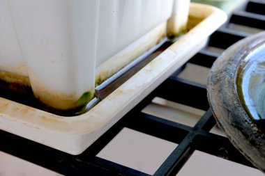 Sivrisinekler ve hastalık yaymak için bir üreme alanı olan saksı için temiz su tepside..