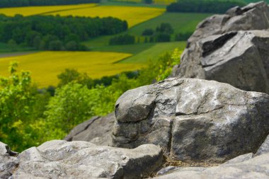 Arka planda kolza tarlaları olan kayalar, Yukarı Lusatia.