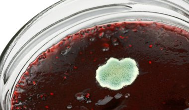 Çilek reçelinin kalıbını kapat.