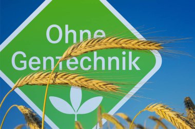 Arkaplanda işaret ve Almanca sözcüklerle tahıl Ohne Gentechnik (Genetik Mühendisliği Olmayan))