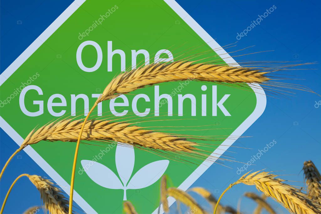 Grain with sign in the background and German words Ohne Gentechnik (Without Genetic Engineering)