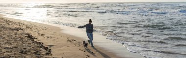 Süveter ve kot pantolonlu bir kadın deniz kenarında pug köpeğiyle yürüyor. 