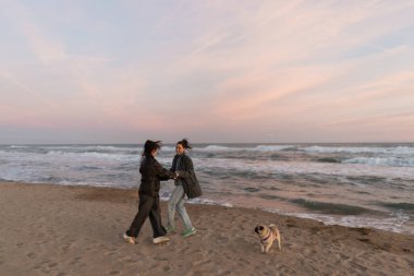 Gülümseyen kadın Barcelona sahilinde pug dog 'un yanında eğleniyor. 