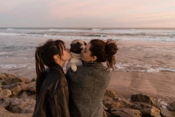 Friends kissing pug dog on beach in evening in Barcelona