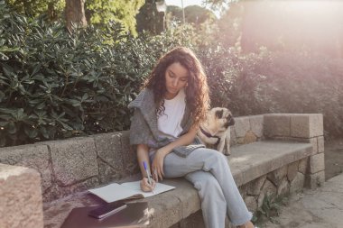 Curly and young woman in casual clothes writing on notebook while sitting near gadgets and pug dog on stone bench and green bushes in park in Barcelona, Spain, freelance  clipart