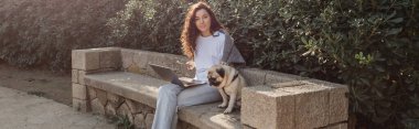 Young and curly pretty woman using gadgets and petting pug dog while looking at camera and spending time on stone bench in green park in Barcelona, Spain, banner  clipart