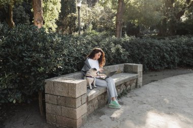 Curly freelancer in casual clothes using gadgets while spending time and working near pug dog sitting on stone bench in green park at daytime in Barcelona, Spain  clipart